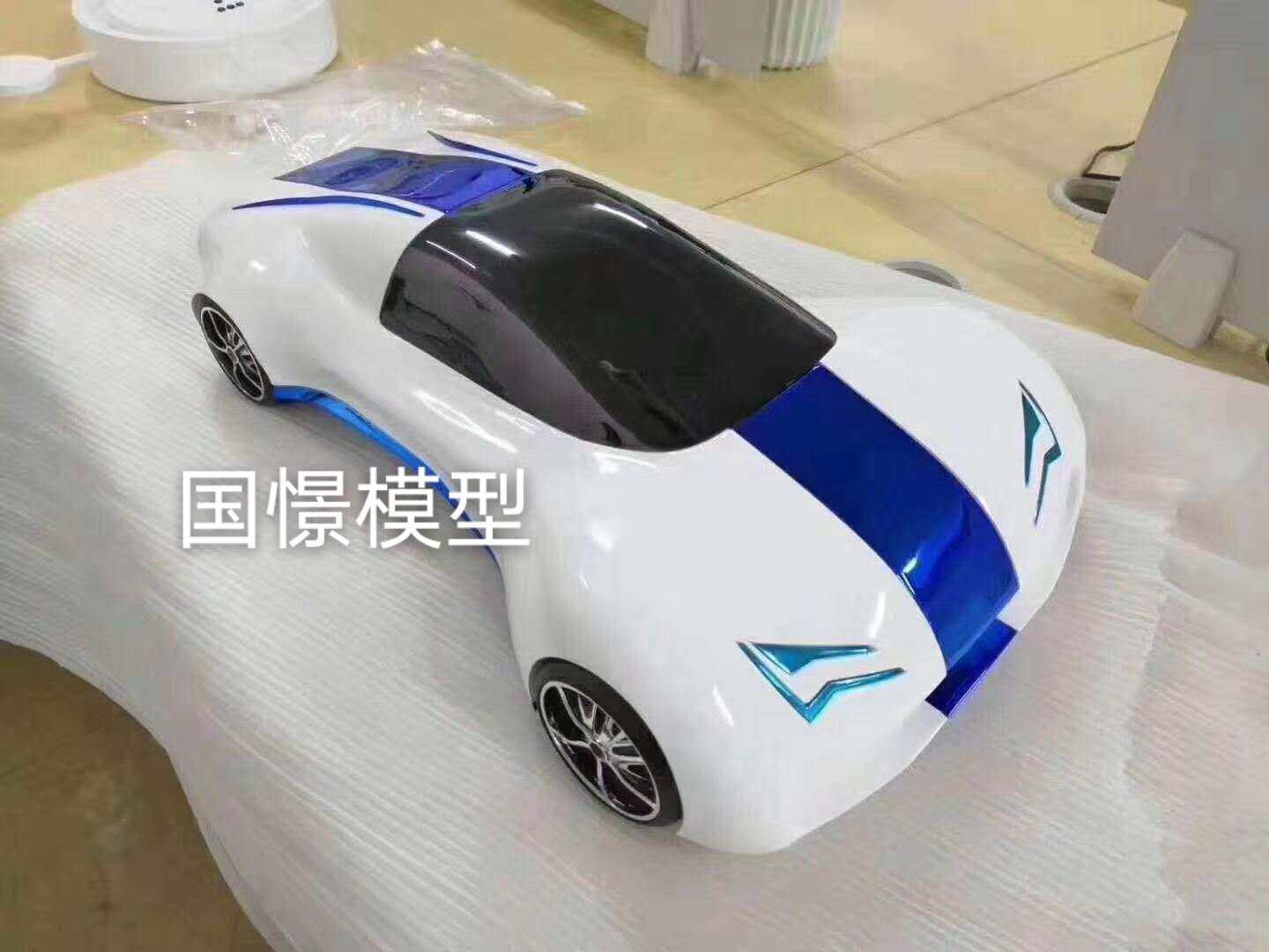 耒阳市车辆模型