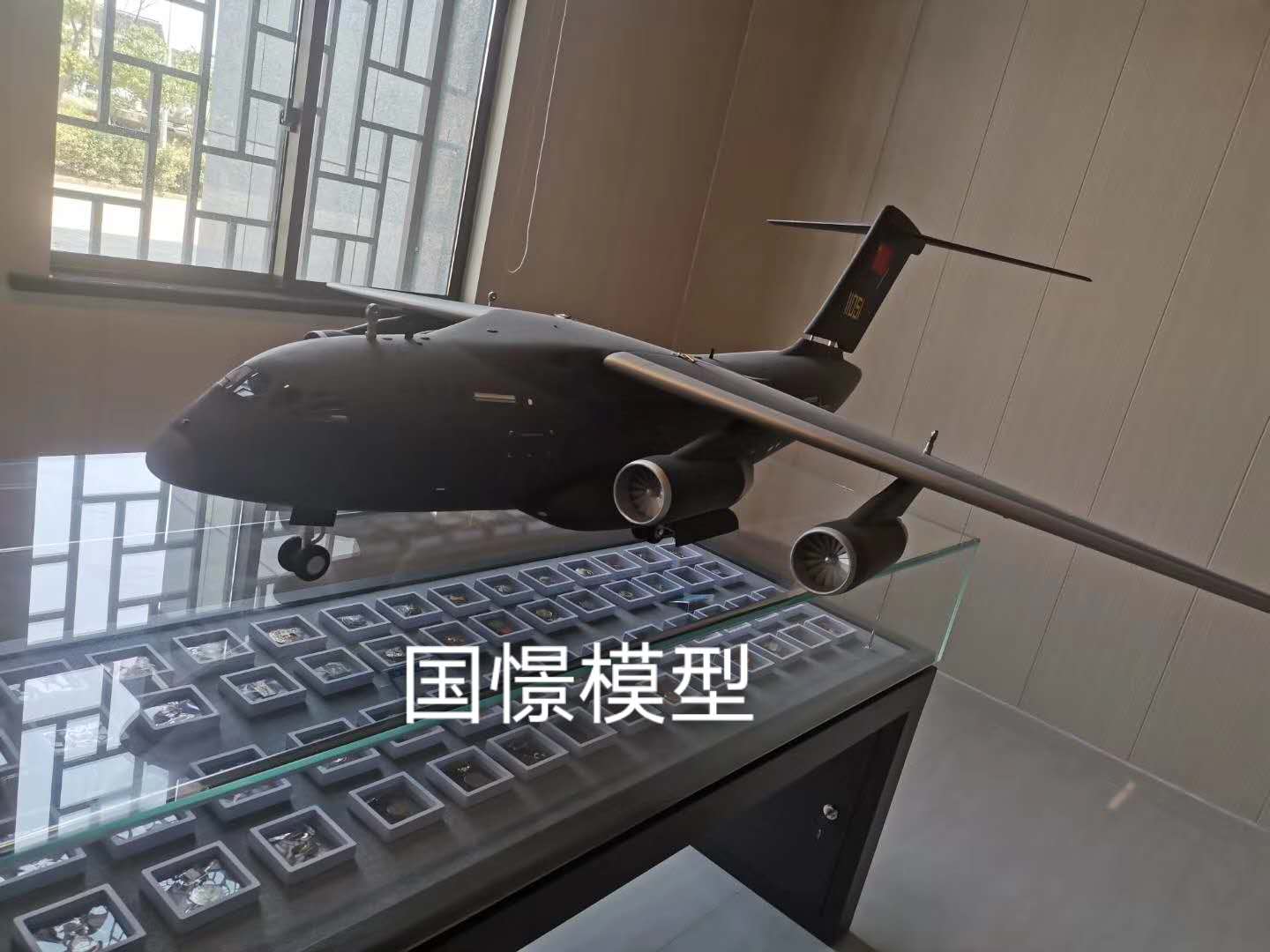 耒阳市飞机模型